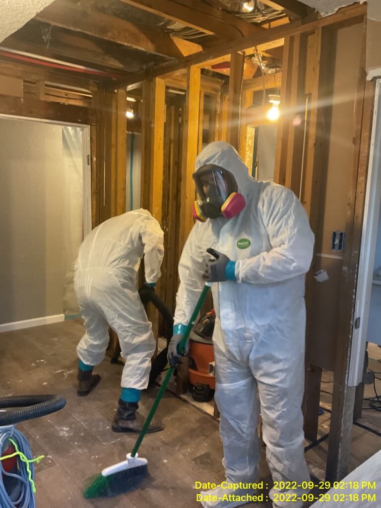 Nashville Mold Specialists cleaning up mold damage