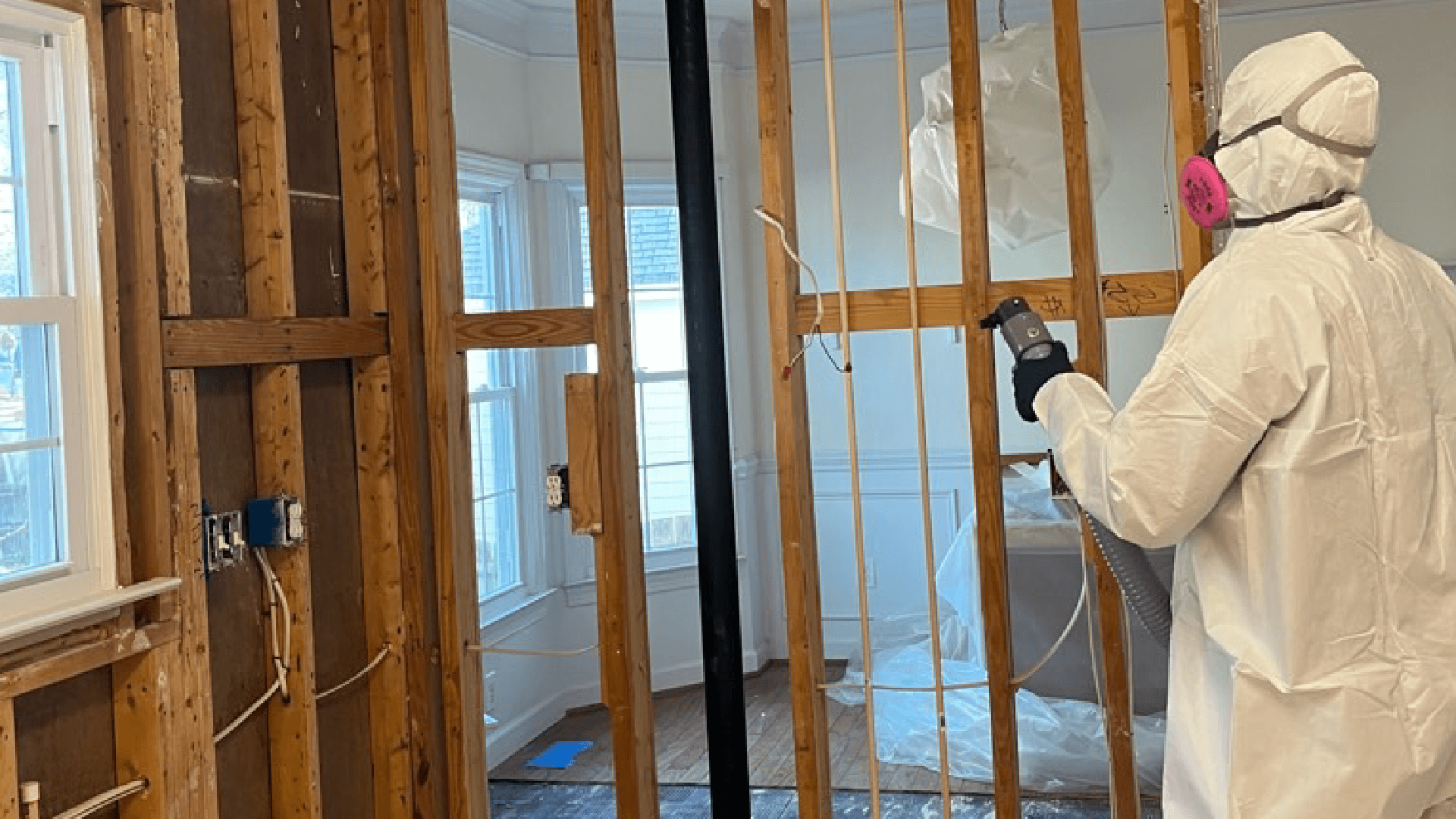 Curated visual reference: Visual Reference: Smyrna S Best Mold Remediation Company