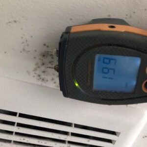 Mold inspection process in Nashville home before mold remediation process begins