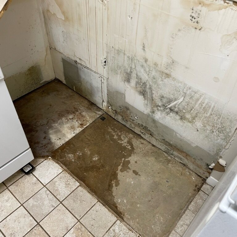 How Long Does It Take To Repair Water Damage In Nashville Tennessee