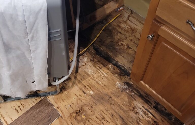 What to do when faced with water damage issues in your home or business in Middle Tennessee 
