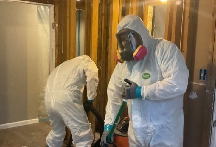 Nashville Mold Specialists cleaning up mold damage